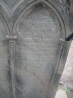 click to view detail