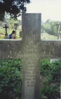 click to view detail