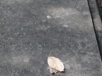 Photo by Michael Brock