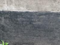 Photo by Michael Brock