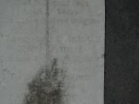 Photo by Michael Brock