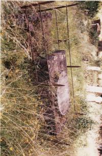 Gravestone of Julia Gertrude Rose Shaw