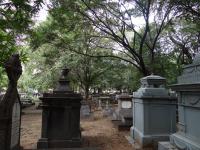 Photo by Michael Brock