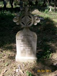 click to view detail